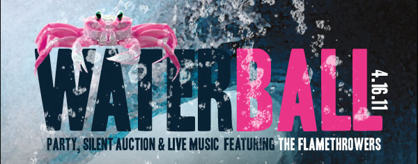 Waterball Party, Silent Auction & Live Music Featuring The Flamethrowers